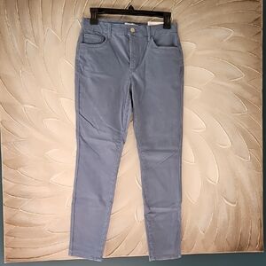 LOFT Skinny Chino